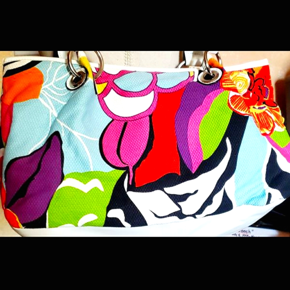 ❤Beautiful Multicolored Bag by Van Hausen❤